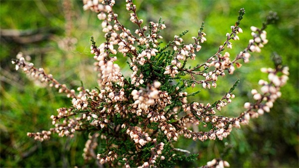 关于名言名句100句