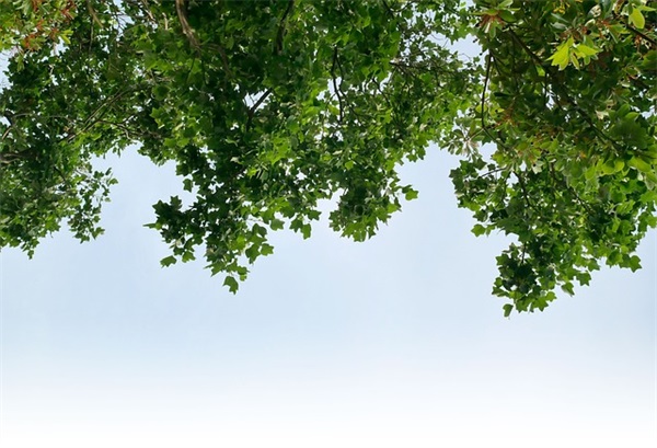 心情名言名句大全100句