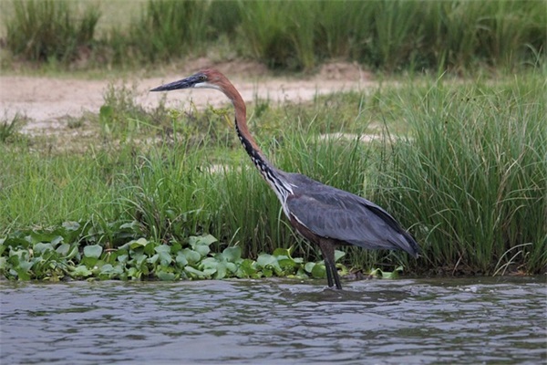 鲁迅名言警句81句