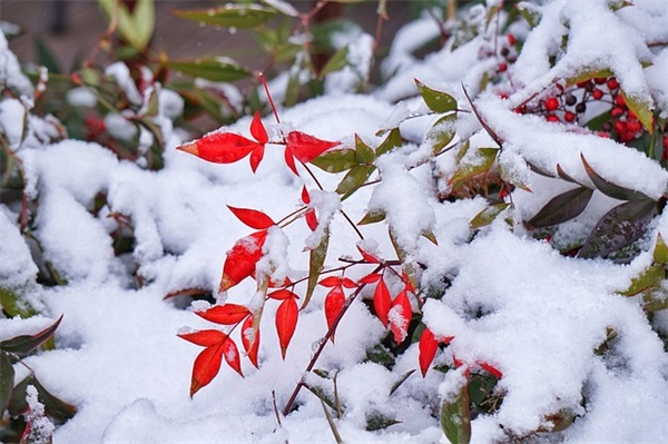 人生在于奋斗名言警句93句