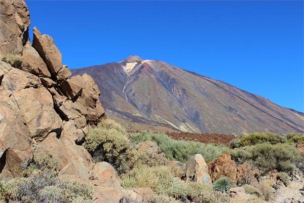 九年级英语教案