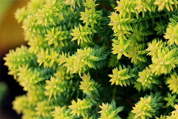 走遍天下书为侣仿写