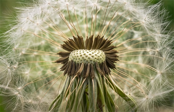 我与梦露的一周