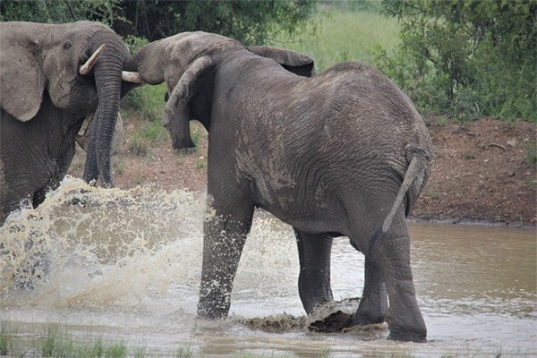 女生青春期教育知识