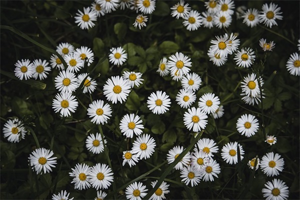 脑筋急转弯及答案超难