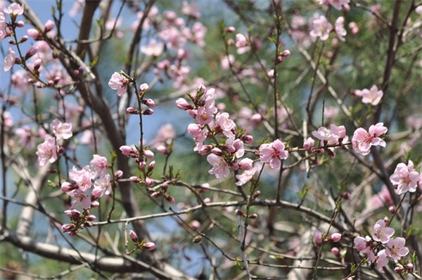 十大就业前景最好专业