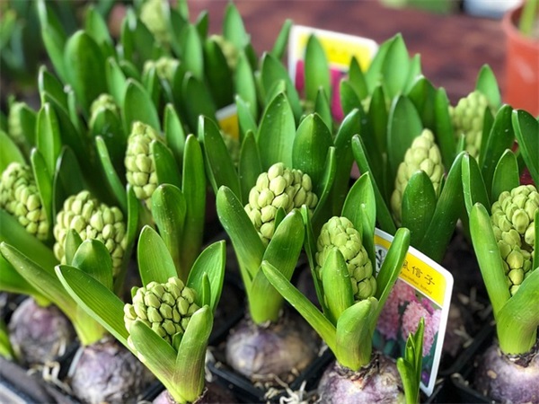 安静的网名有哪些 安静 网名