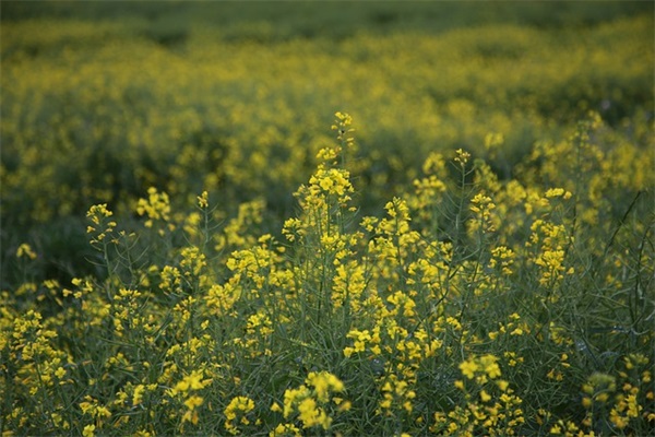 周公解梦梦见自己换发型 梦到换发型周公解梦