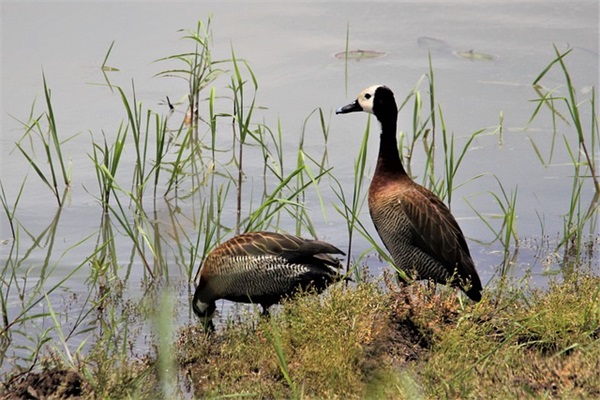 建党多少年 建党多少年了现在