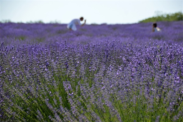 渠县二手房出售怎么选？从这几个方面入手