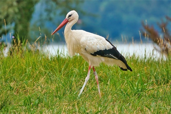 三字文雅的游戏名字个独一无二（经典三字文雅的游戏名字个）