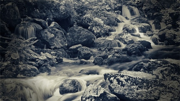 好听的游戏名字带符号免费复制（好听稀少的好听的游戏名字带符号）