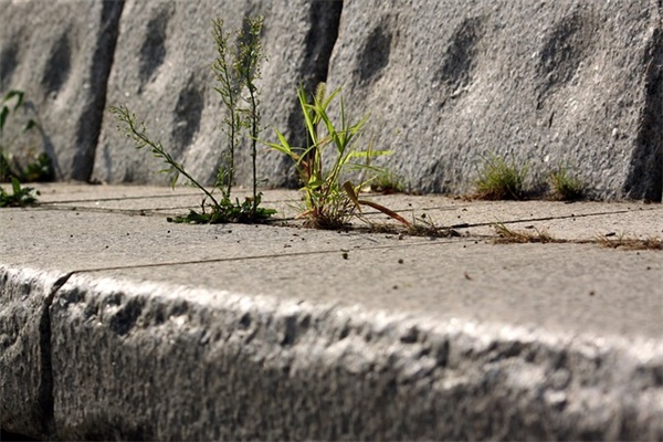 神雕侠侣好听的游戏名字冷酷帅气（鬼才神雕侠侣好听的游戏名字）