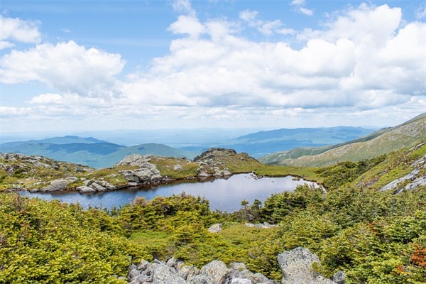 家族名字大全霸气简短游戏昵称（鬼才家族名字大全霸气简短）