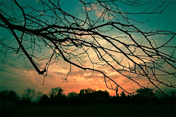 非主流男生游戏名字骚气搞笑（霸气冷漠非主流男生游戏名字）