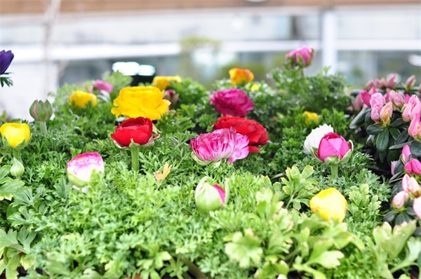 带悴转的网名昵称