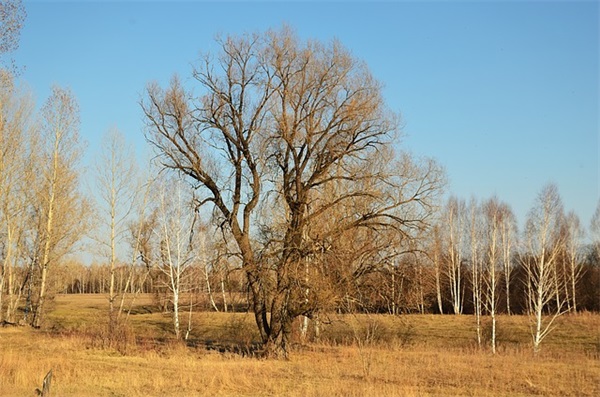 带暖阳的六字网名