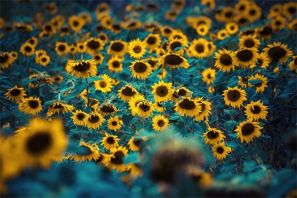 带深情和道字的网名