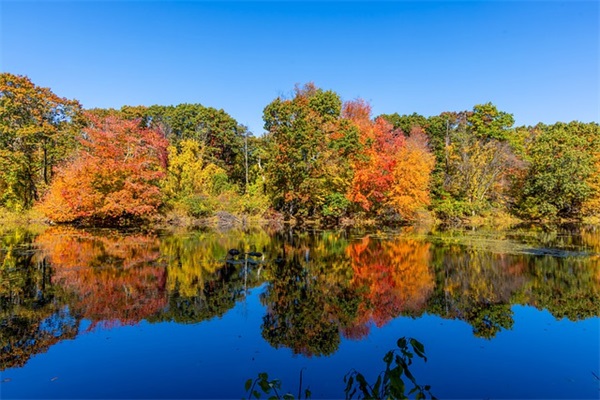 带存枯的网名昵称