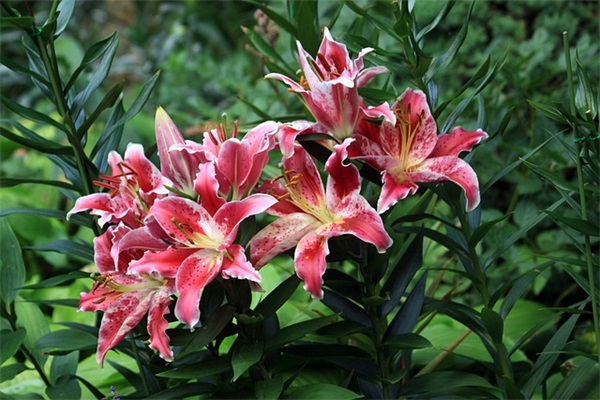 2025网易云流行的消极厌世句子