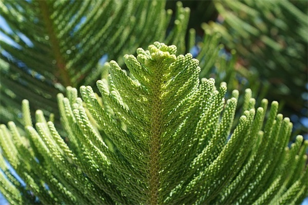 女人励志靠自己的句子收藏53句