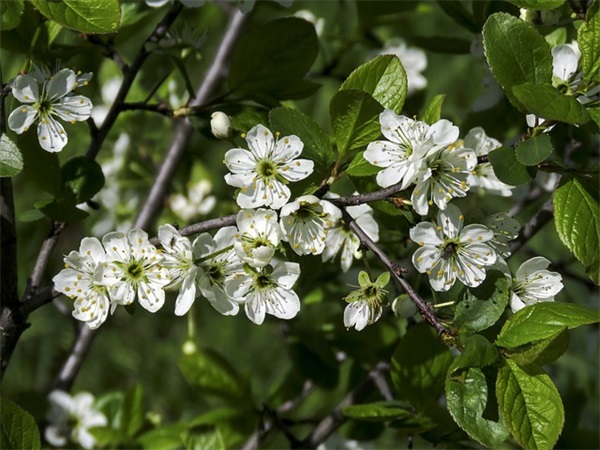 请求原谅的句子大全