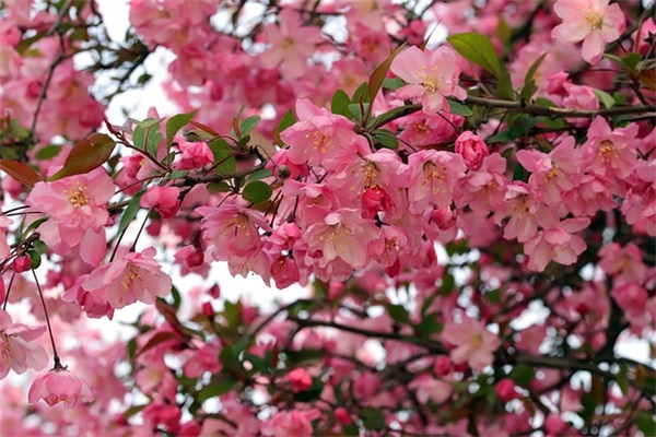 开心句子说说心情54句