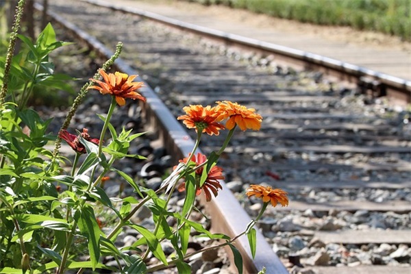 形容时间飞逝孩子长大了的句子集合40条