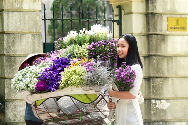 暗恋橘生淮南句子