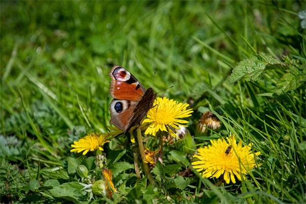 为孩子写家长寄语怎么写-94句