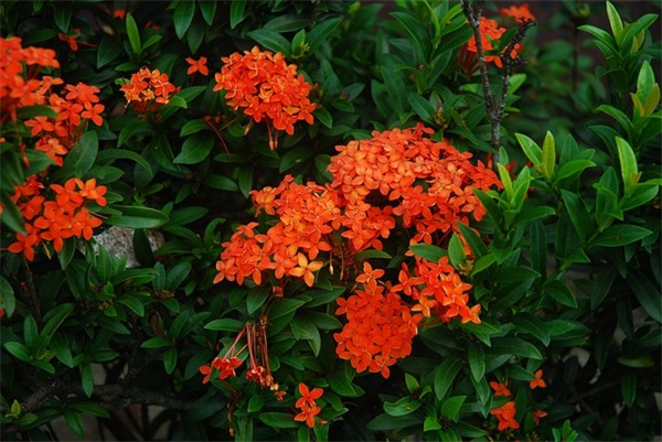 对孩子期末考试的希望和寄语-100句