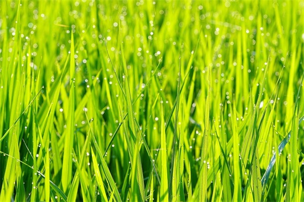 中秋节福利的文案200句