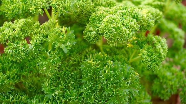 抖音个人简介最好的句子正能量(精选81句)