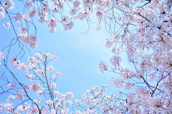 祝贺成功的句子 祝贺抗疫成功的句子(精选79句)