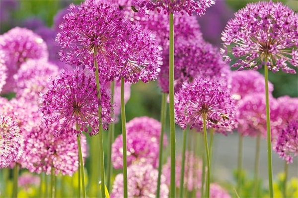 女人心态阳光的句子