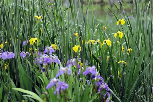 521发朋友圈的精美句子(98句)