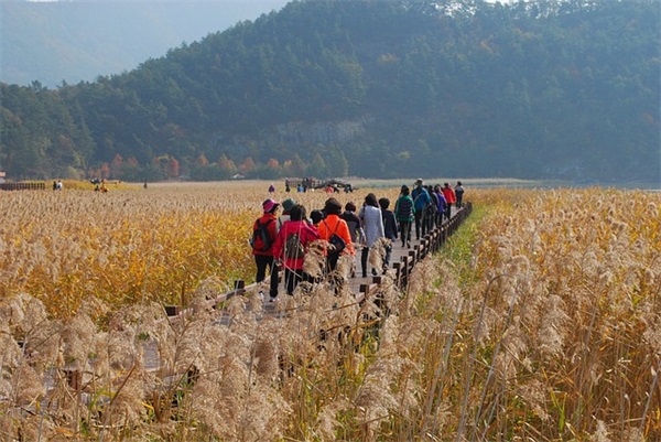 爱情英文个性签名大全(178句)