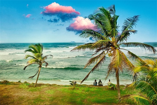 给舅妈的生日祝福语