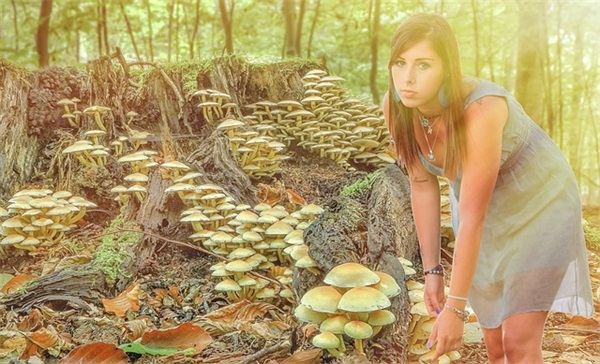 英文明信片祝福语72句