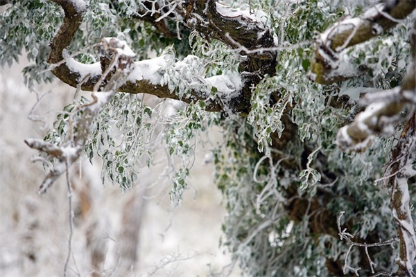 祈祷早日解除疫情说说_抗击新型冠状病毒疫情祝福语