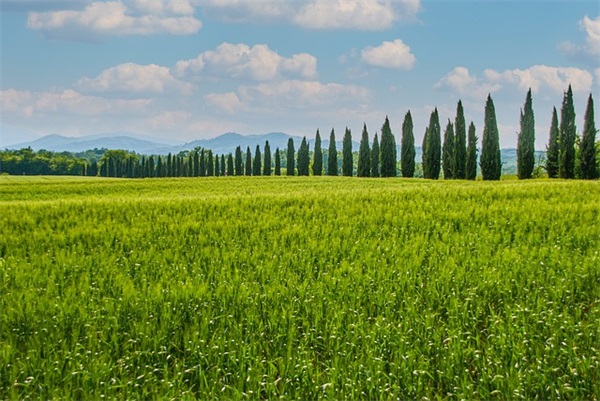 两周岁生日祝福语49句