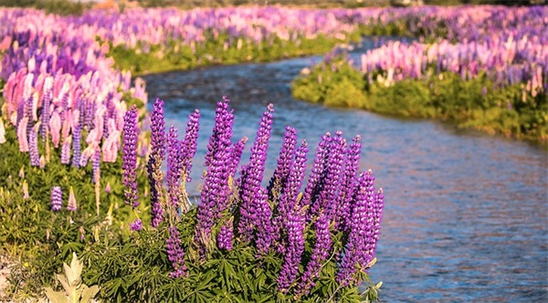 给幼儿老师祝福语大全64句