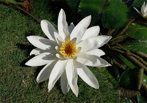 精选的早上好祝福短信大全 早上好祝福短信