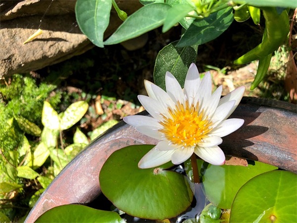 离别时发的朋友圈简短(63句)