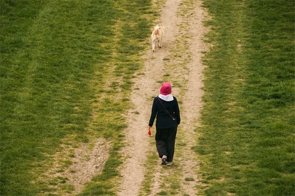 教师节歌颂老师的优美句子精选50句