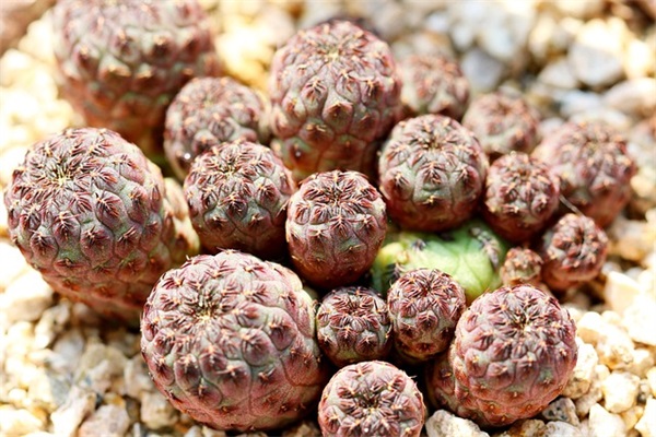 30岁生日低调发朋友圈 30岁生日经典朋友圈句子