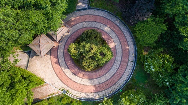 感动人心的句子 温暖感动人心的句子(精选81句)