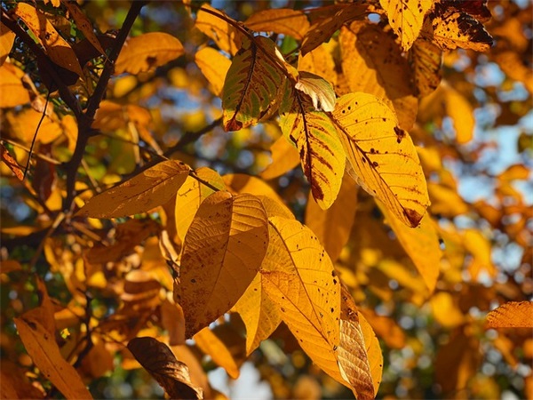 成长祝福语 成长祝福语简短