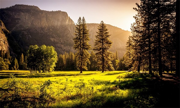 致2026年考生的祝福语40句