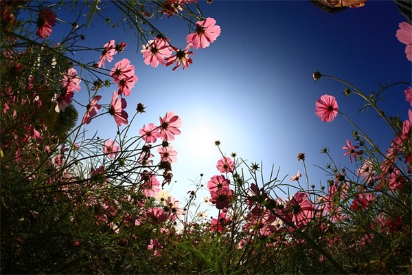 结婚一周年的祝福语37句